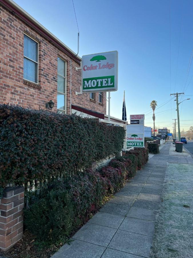 Cedar Lodge Motel Armidale Buitenkant foto