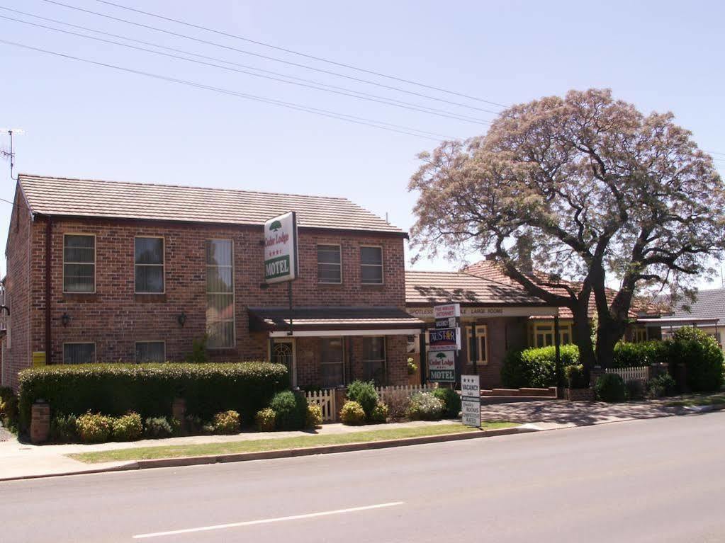Cedar Lodge Motel Armidale Buitenkant foto